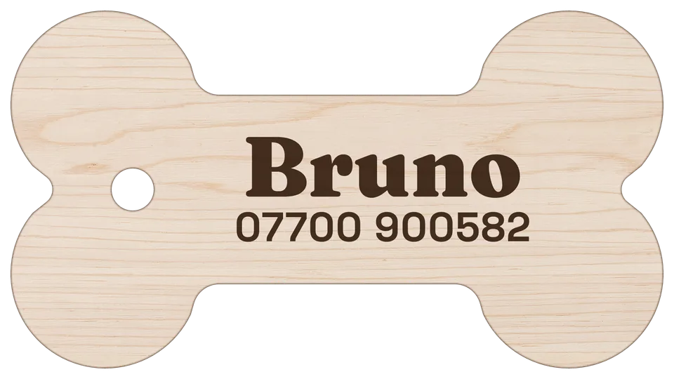 Bone pet tag on its own