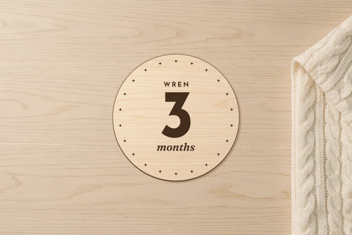 Baby milestone discs