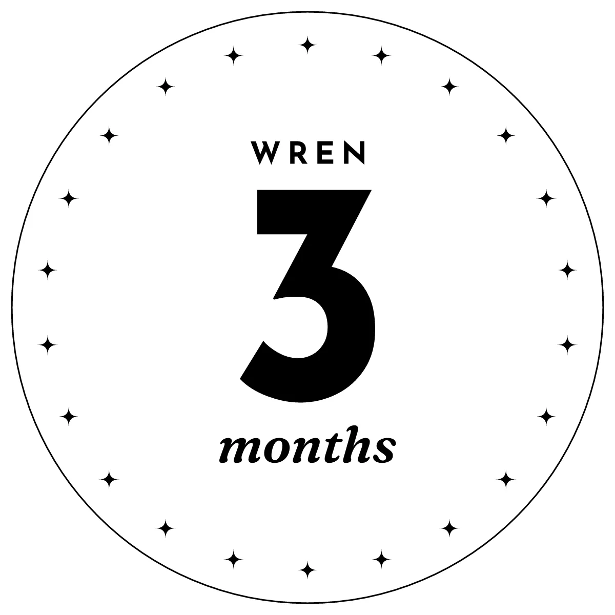 Baby milestone discs as a flat design